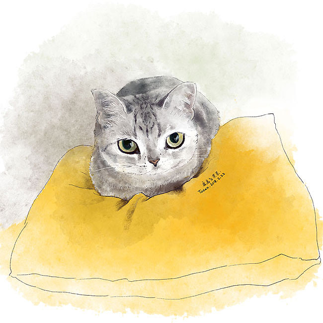 画了10只猫(图ZMTgzOTQ2MDMy) - 艺术插画 - 站酷设计师Tusan了了原创素材 - 站酷ZCOOL