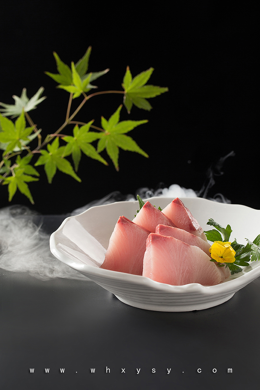 【向左艺术料理餐厅】餐单拍摄,西餐日料美食摄影