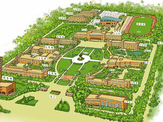手绘校园地图