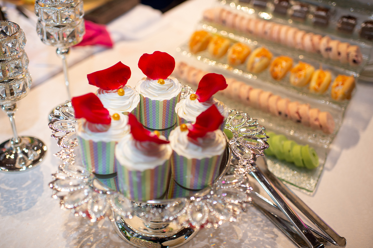 万科新都会景观示范区开放