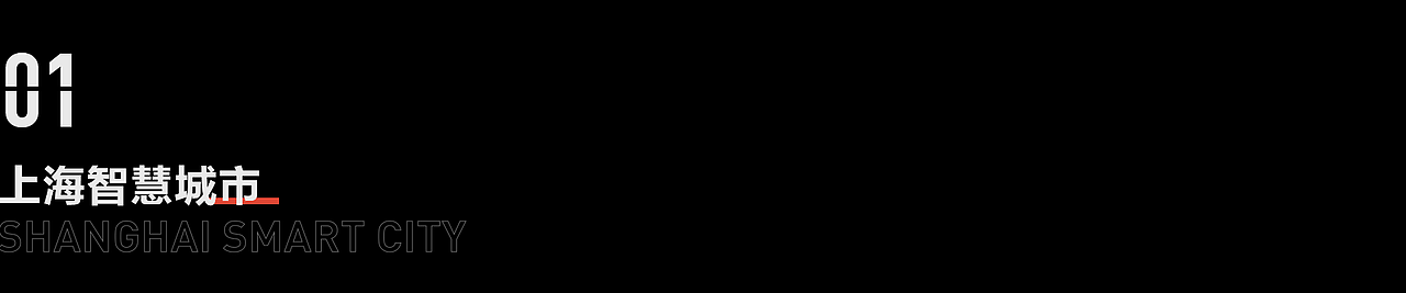 2020年终总结-数据可视化设计