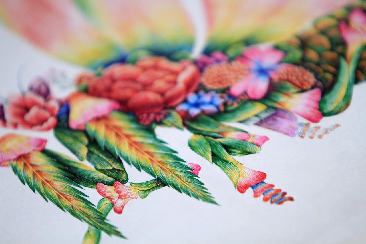 舒展《昆虫记—魔花螳螂》（图ZNDIyNzIzNTY=） - 商业插画 - 站酷设计师舒展原创素材 - 站酷ZCOOL