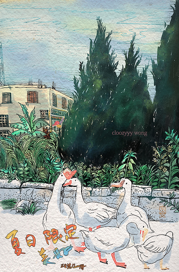 《夏日限定美好》