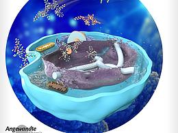 论文配图科研绘图sci杂志封面设计医学插画三维动画