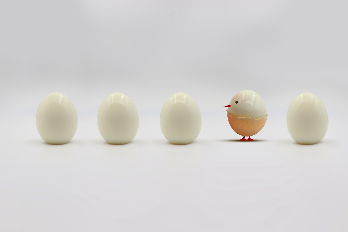 鸡蛋创意