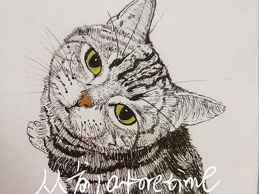猫咪
