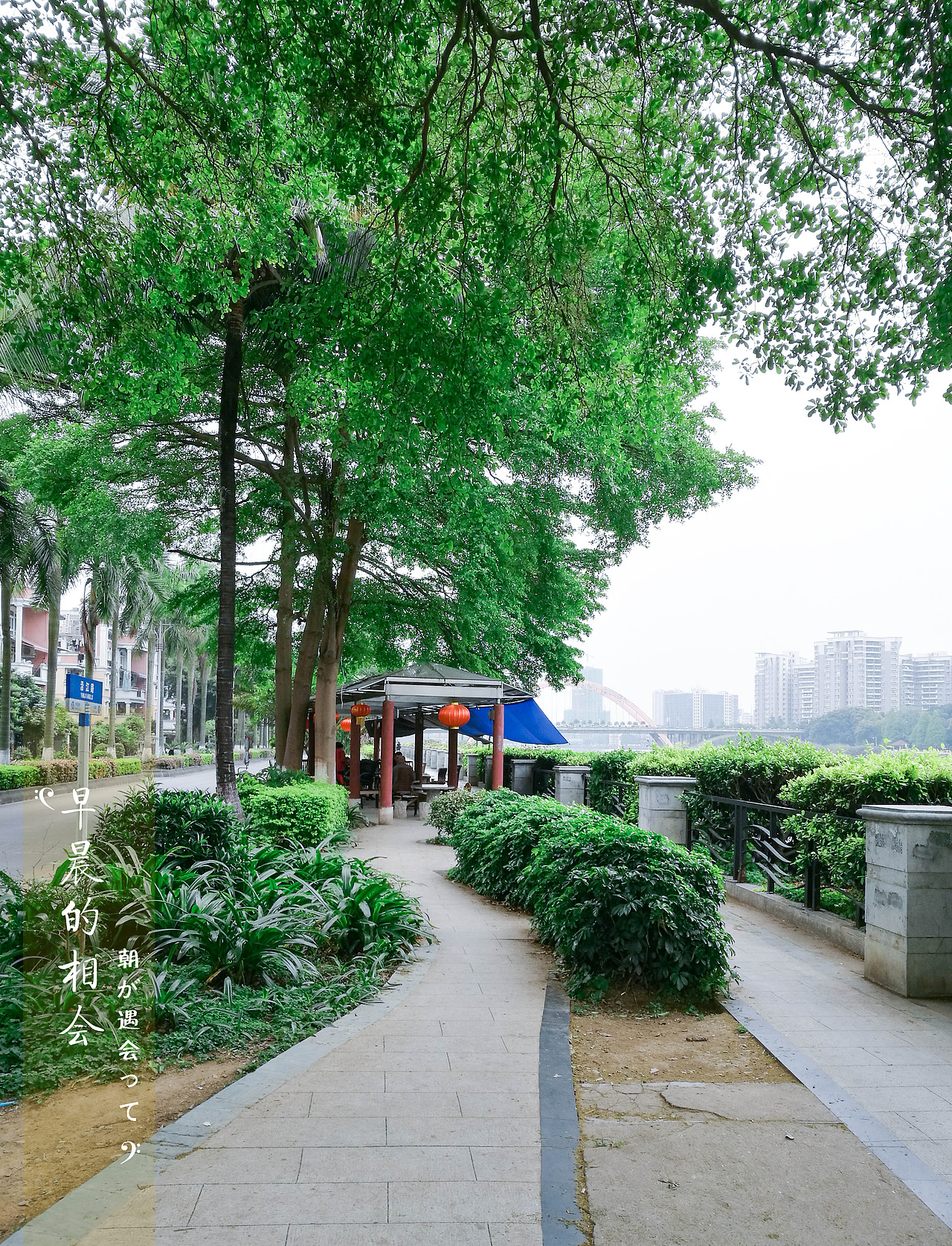 随手拍（图ZOTE4NzQ5NDQ=） - 环境/建筑摄影 - 站酷设计师添彩的燕子不会画原创素材 - 站酷ZCOOL