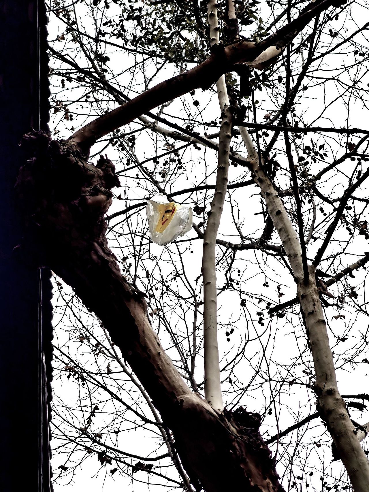 每個(gè)人都有疲累生活里的英雄夢(mèng)想（圖ZMzMzNDQ2OTAw） - 其他攝影 - 站酷設(shè)計(jì)師大鵬映象原創(chuàng)素材 - 站酷ZCOOL