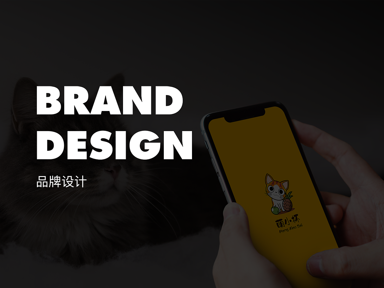 2019（图ZMTgzMjMwMzAw） - APP界面 - 站酷设计师小小阳的猫原创素材 - 站酷ZCOOL