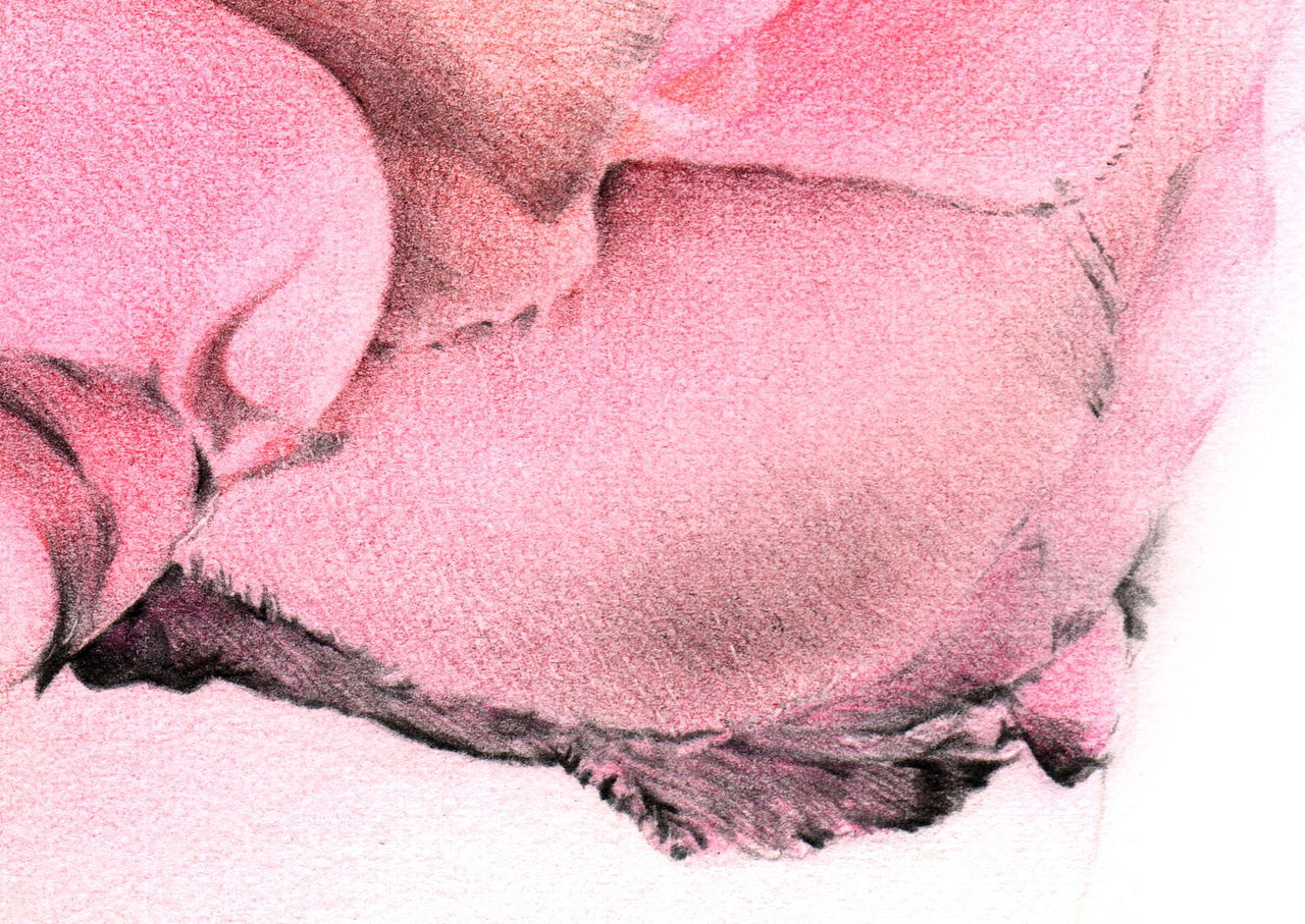 彩铅人偶（图ZNTM3MzIxMTI=） - 绘画 - 站酷设计师洪帮主彩铅原创素材 - 站酷ZCOOL