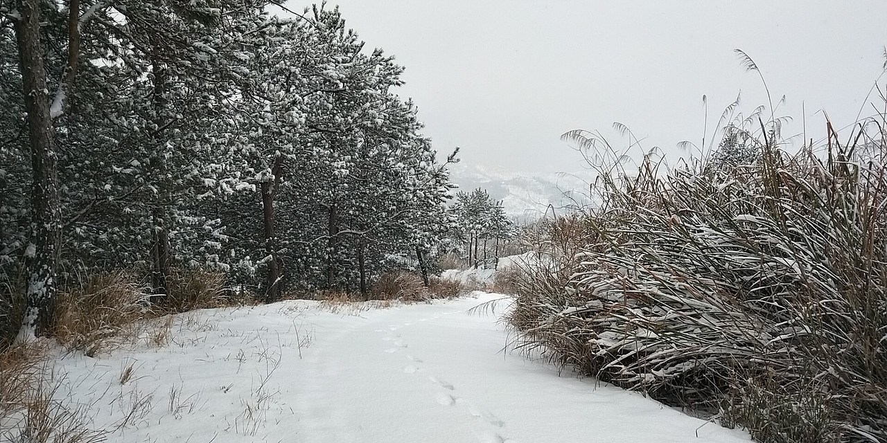 2018老家雪景——革命老区大别山麻城