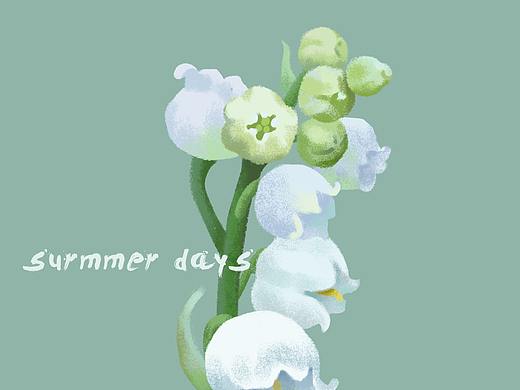 简洁的花卉插画