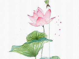 學(xué)習(xí)植物插畫(huà)的仿水彩效果，第三張習(xí)作。記錄黑歷史w