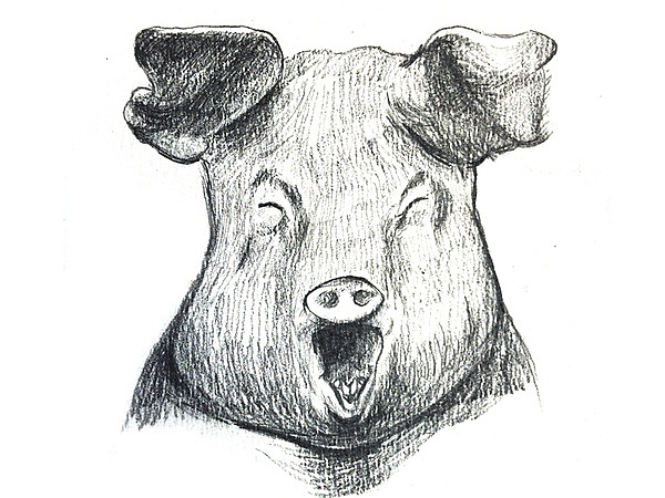 猪肚包鸡怎么做？（图ZOTA1NTAyNDA=） - 商业插画 - 站酷设计师徐理想原创素材 - 站酷ZCOOL