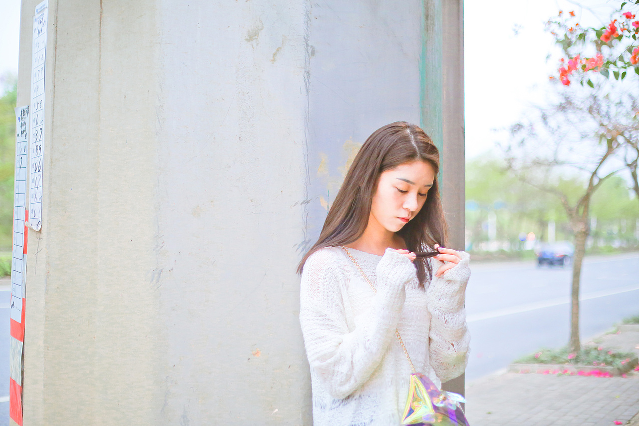 我喜欢你 就好像春天里的三角梅