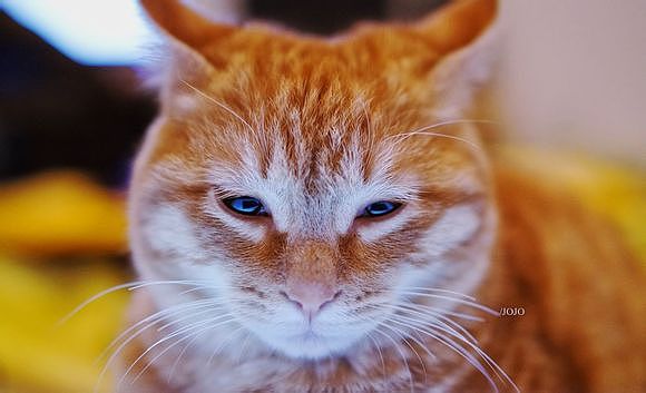 努力的想要打起精神,却掩不住的悲伤。。