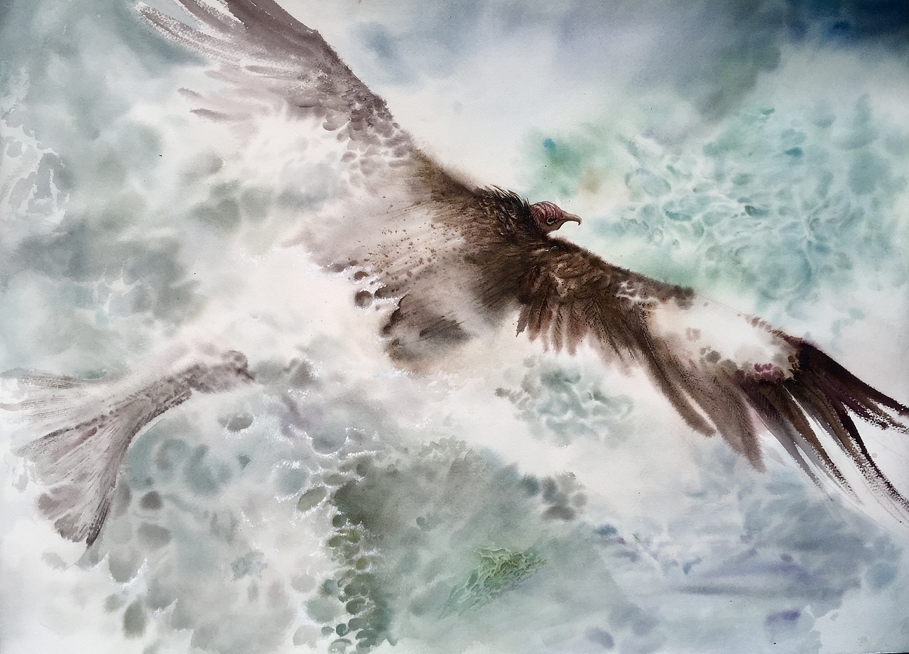 逍遙游之化而為鵬（圖ZMTIyNjUxNDgw） - 繪畫 - 站酷設(shè)計(jì)師水彩學(xué)院蘇野原創(chuàng)素材 - 站酷ZCOOL