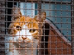 武漢城市風(fēng)光