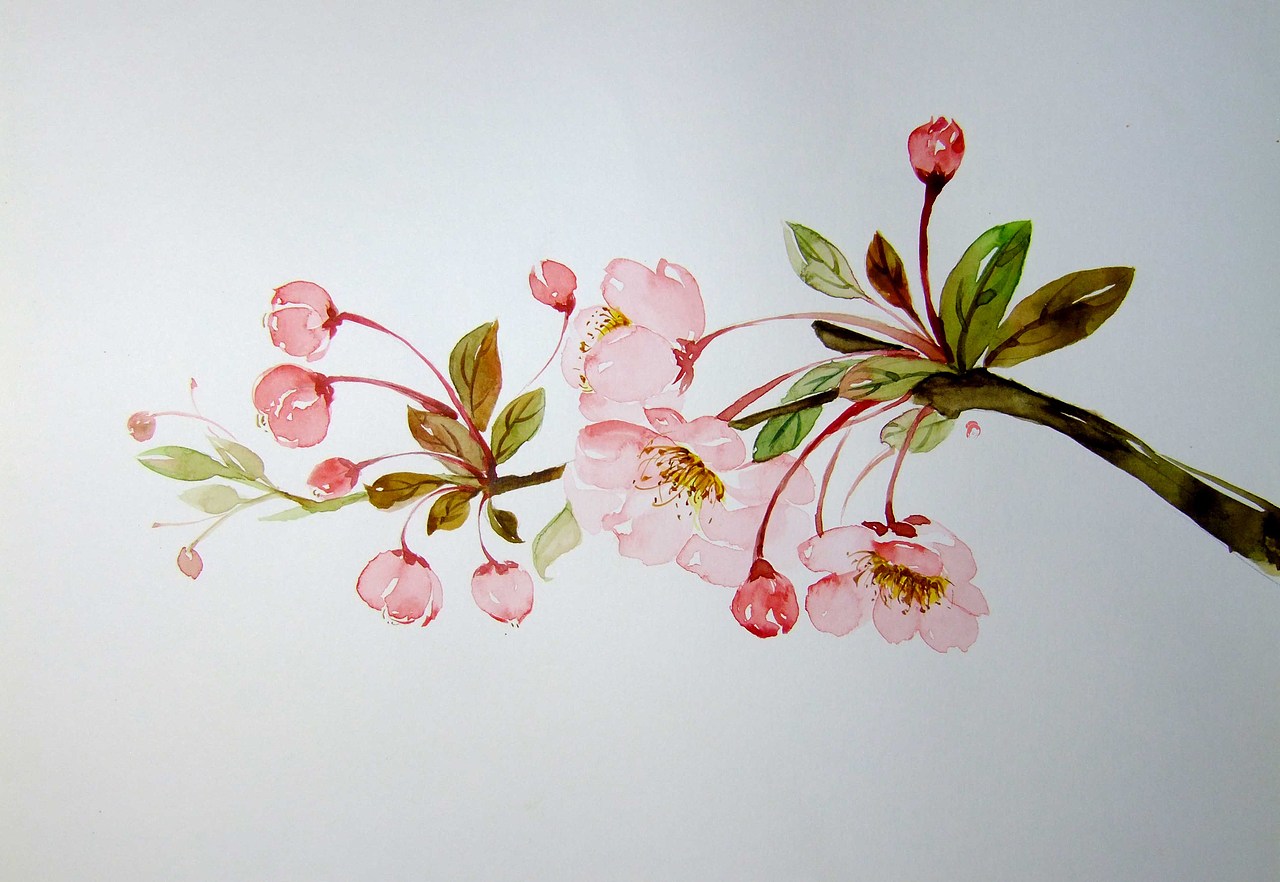 逸水花----(水彩,花鸟,浪漫,小写意,半写实,人物)