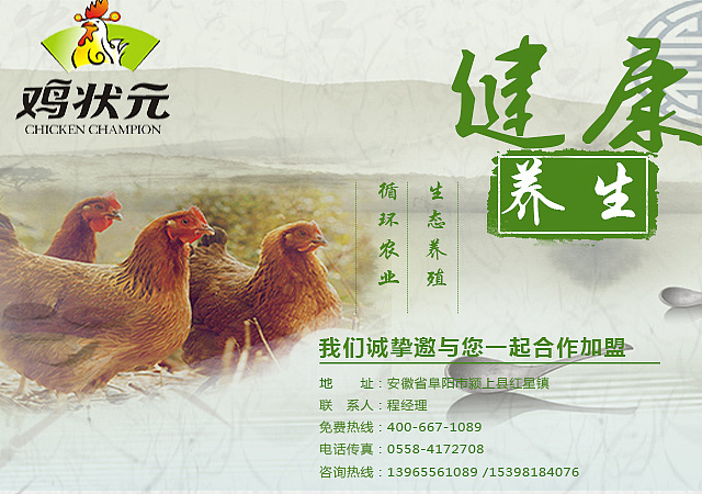 生态养殖banner,农家乐banner,虫子鸡广告,蔬菜广告