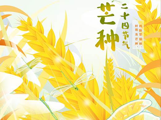 《芒种》