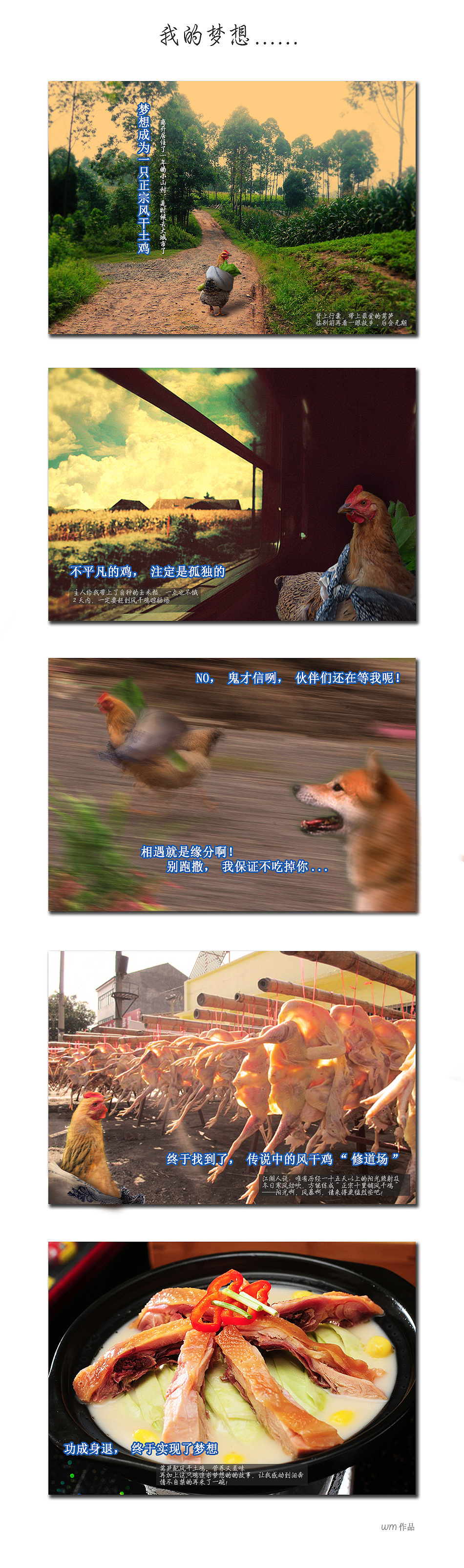 一只风干鸡的故事