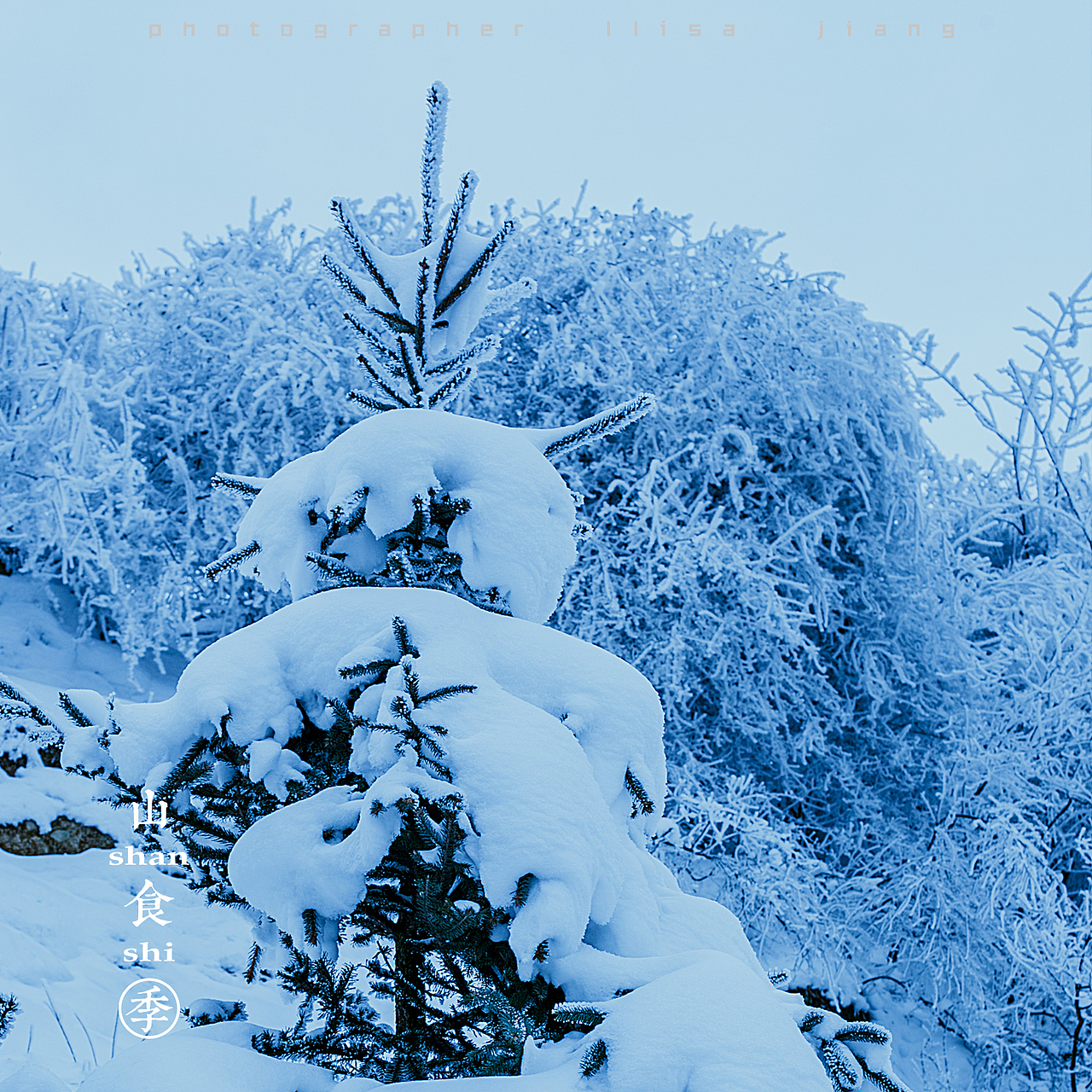 小品四季（图ZMTA4NTgyNTQw） - 产品摄影 - 站酷设计师挲lisa原创素材 - 站酷ZCOOL