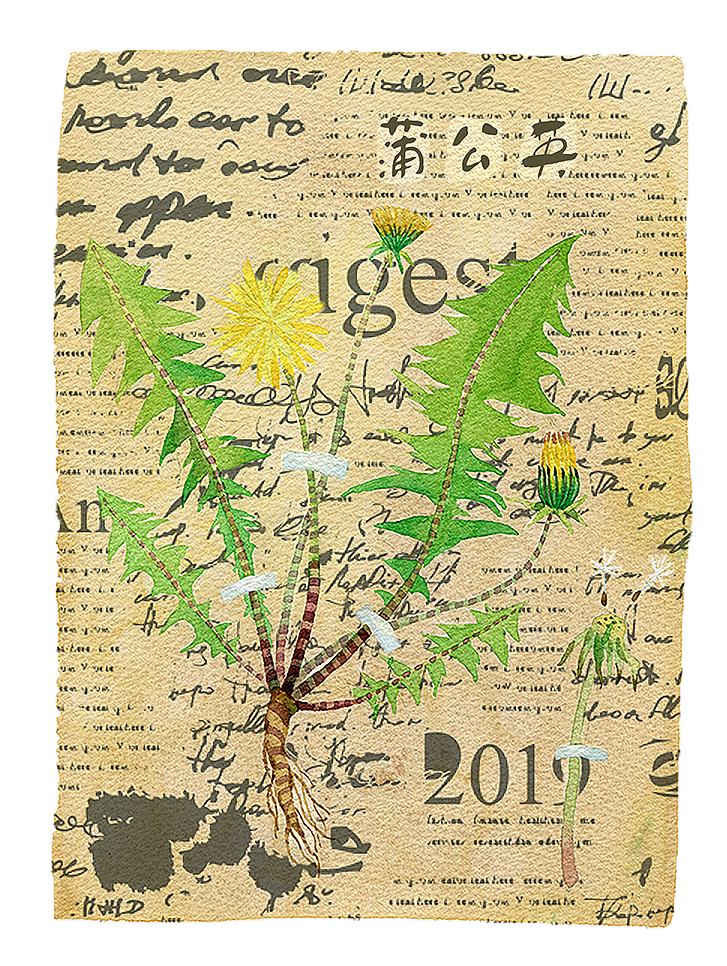 那些春天里的小野菜~（图ZMjQ4OTE0MzE2） - 艺术插画 - 站酷设计师杨梨儿原创素材 - 站酷ZCOOL