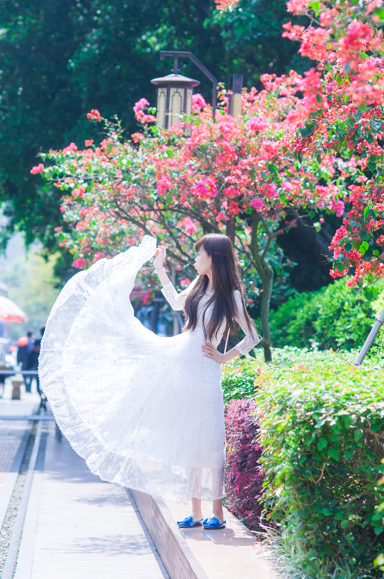 厦门爱上鼓浪屿