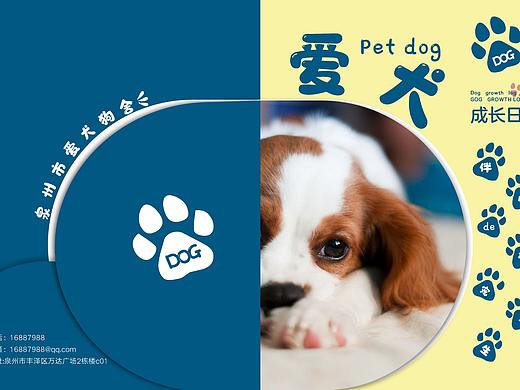 宠物狗宣传画册