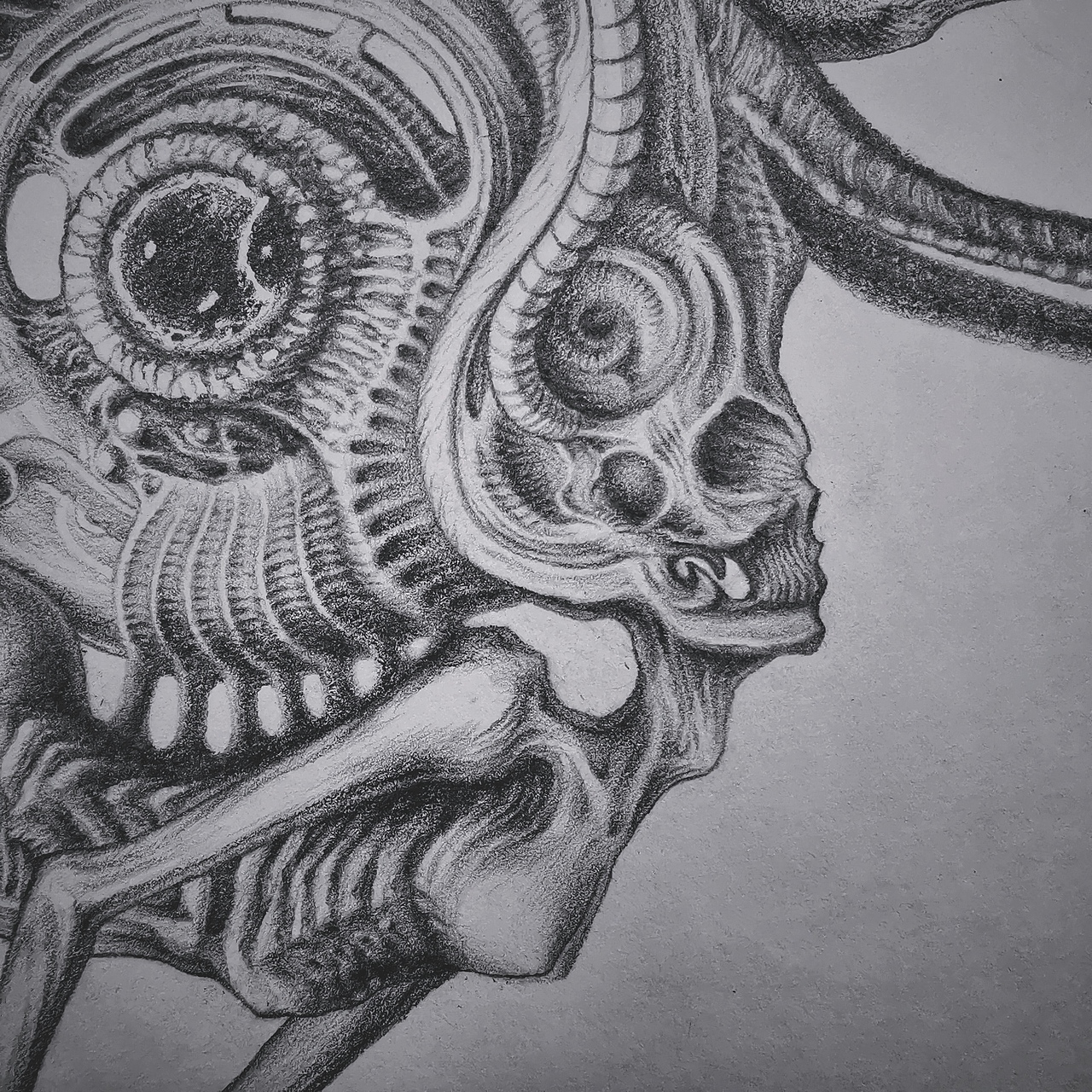 异形手绘|插画|创作习作|三重屮千卉 - 原创作品 - 站酷 (zcool)