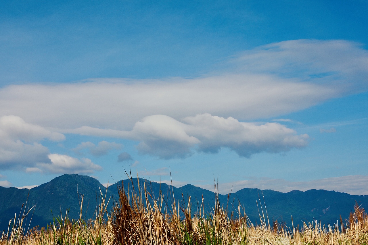 蓝天&稻田（图ZMzU2MTU3OTA4） - 风光摄影 - 站酷设计师Finn帆原创素材 - 站酷ZCOOL