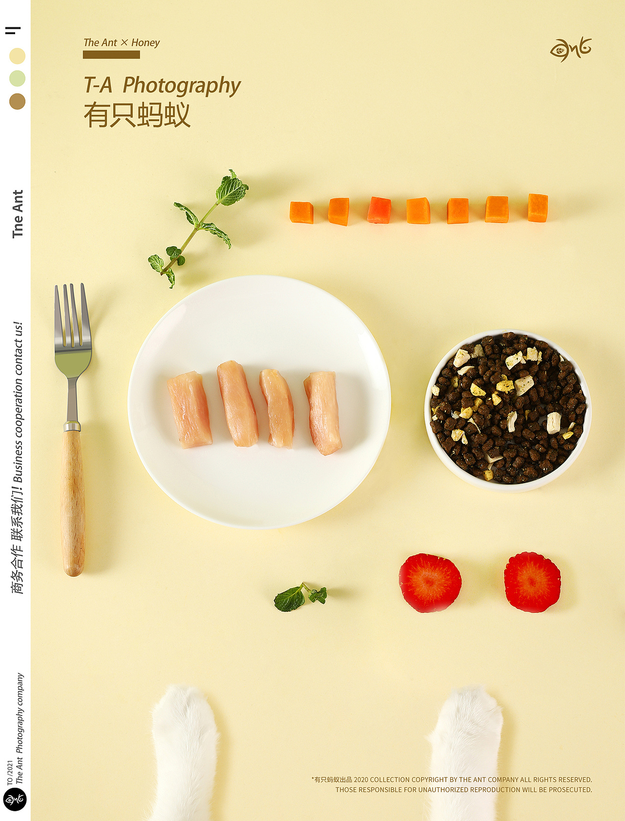 有只蚂蚁x宠物产品丨猫粮