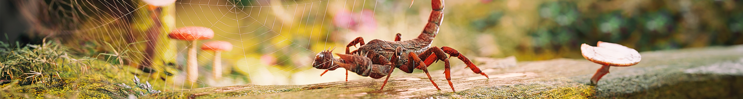 像素诗社的个人主页（封面预览） - 主页封面设置 - 站酷设计师像素诗社原创素材 - 站酷ZCOOL