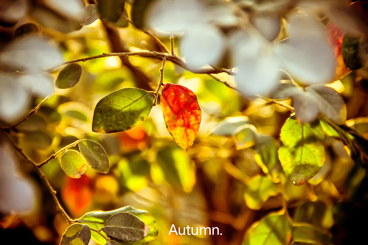 最后一頁（圖ZMTQ0MDA0NzY=） - 風(fēng)光攝影 - 站酷設(shè)計師5umm1r原創(chuàng)素材 - 站酷ZCOOL