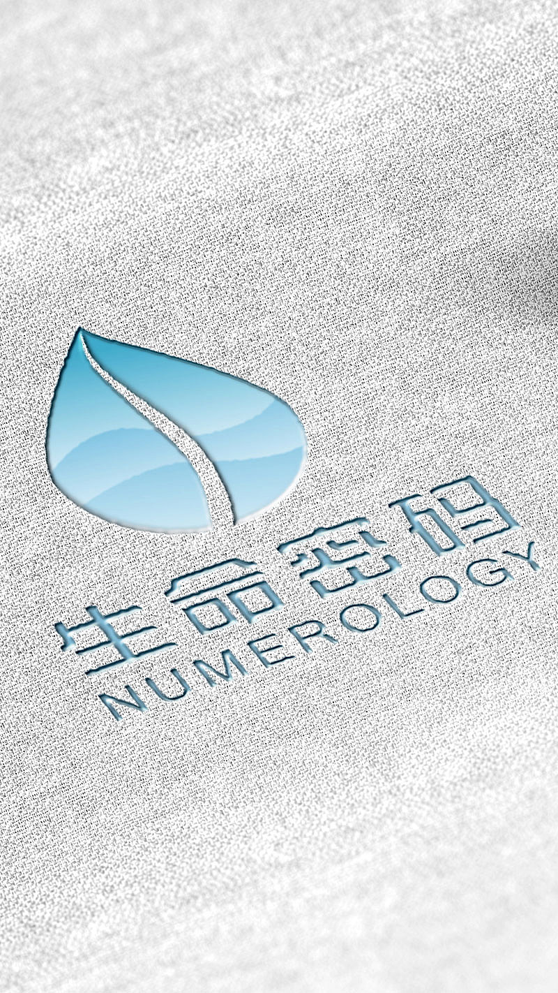 生命密码LOGO设计，郑州上禅设计原创作品！