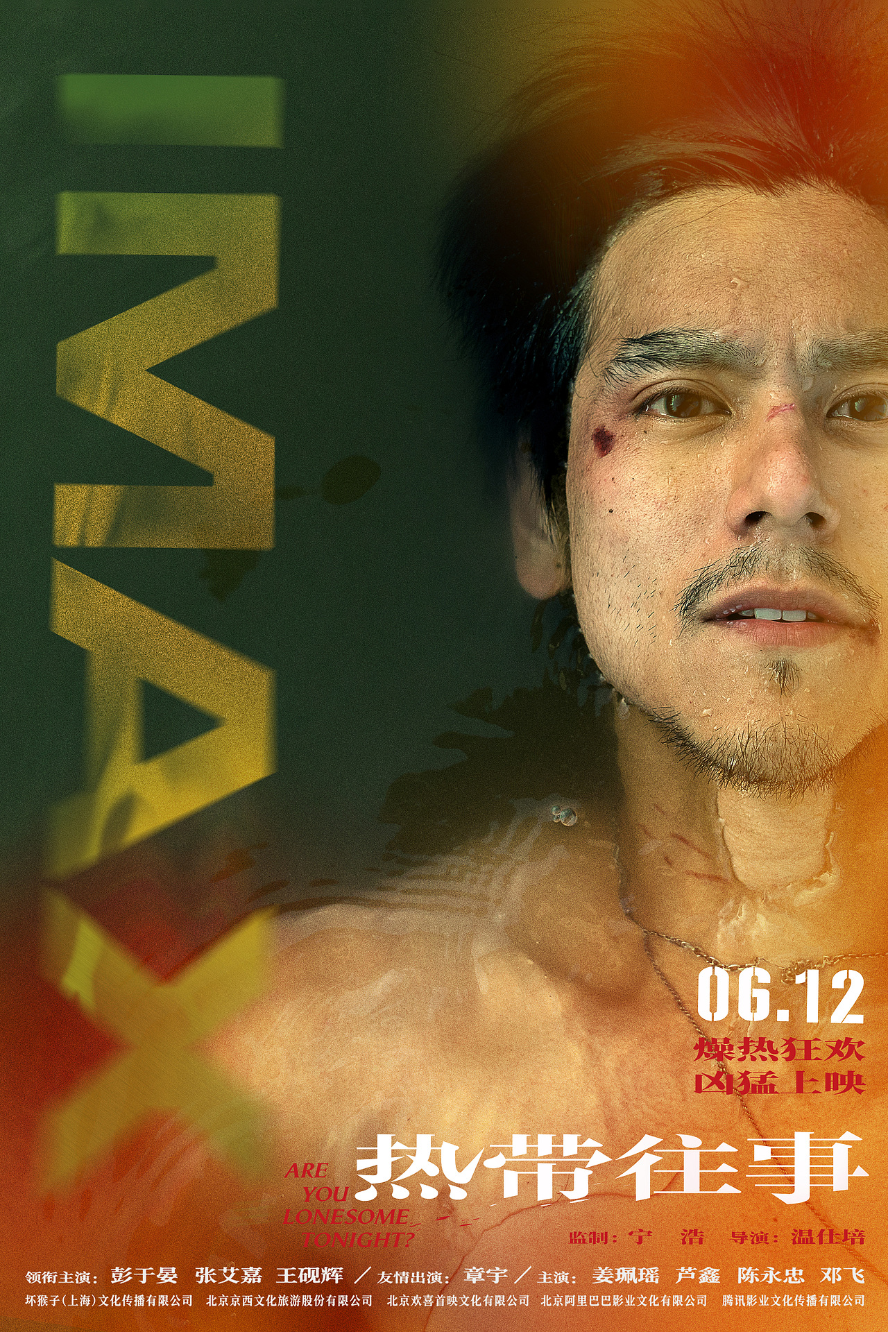 ayan的脑花籽电影海报热带往事