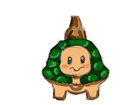岛屿龟