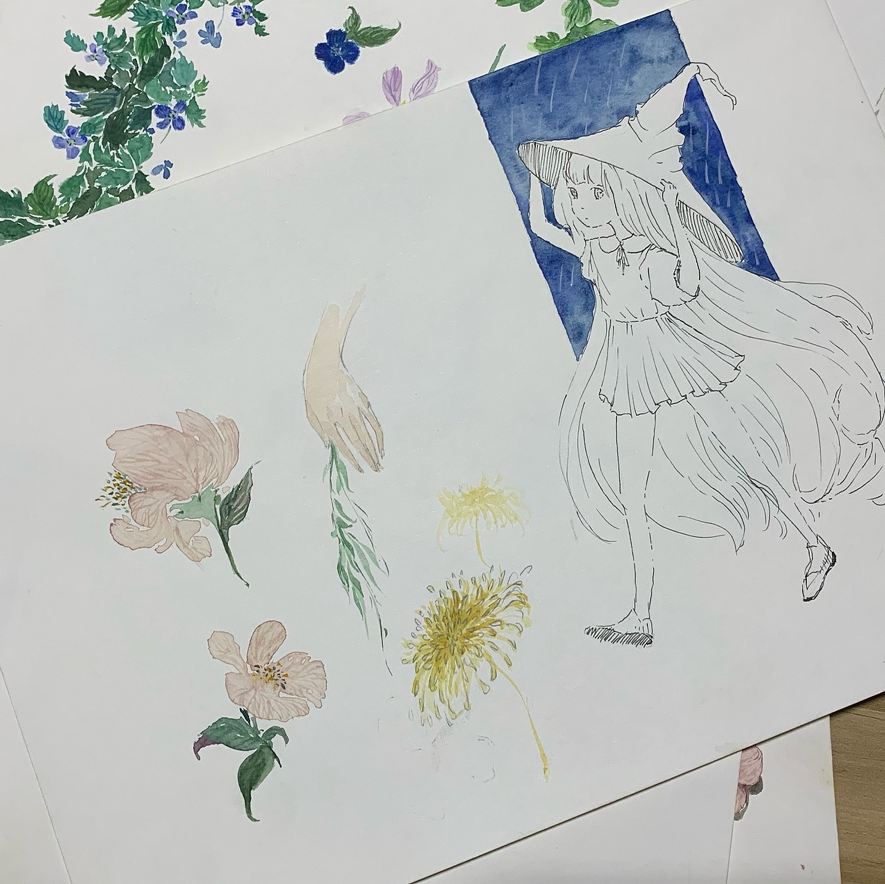 国风水彩人物花卉插画杂烩