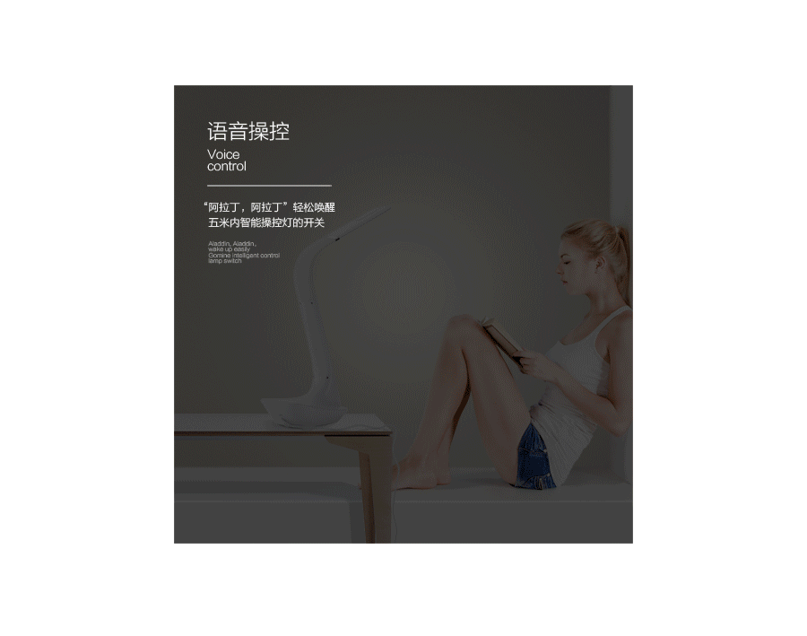 “阿拉丁”神灯！（图ZNDgzNDY2MjA=） - 电商 - 站酷设计师喵十四原创素材 - 站酷ZCOOL