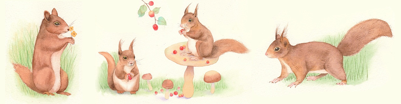 治愈小松鼠系列|插画|创作习作|winey温妮_原创作品-站酷zcool