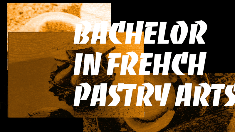 院校视频｜法国杜卡斯学院西点本科课程（图ZMjcwOTQ4NDY0） - 宣传片 - 站酷设计师IDLeo原创素材 - 站酷ZCOOL