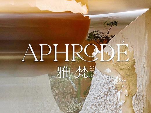 雅梵SPA美容美体会所美学养生全案策划品牌设计