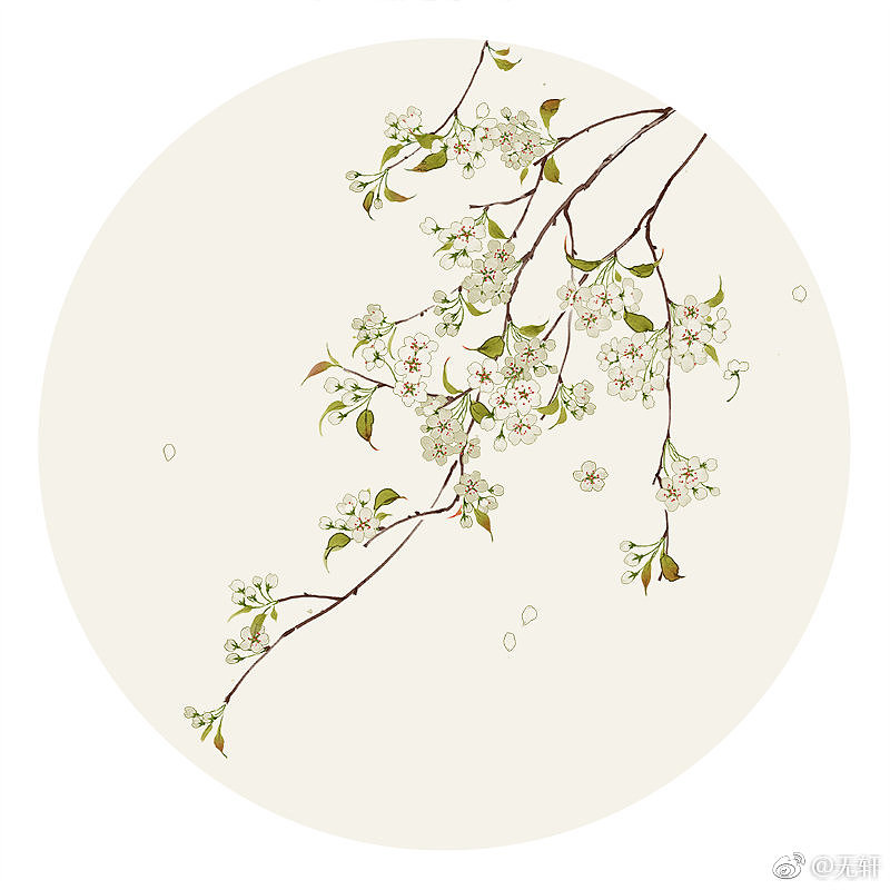 莳花。续（图ZMTU0MzU5MzI4） - 创作习作 - 站酷设计师无轩花莳记原创素材 - 站酷ZCOOL