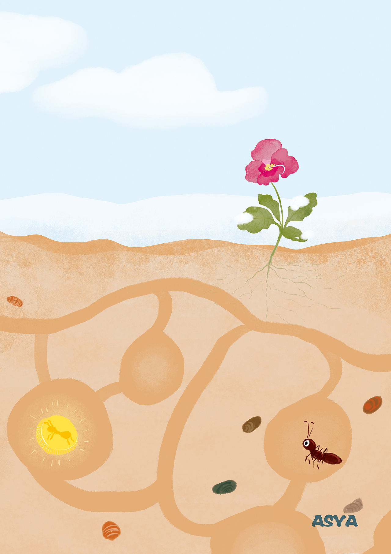 昆虫与植物二（图ZMTM1OTg1NTY0） - 创作习作 - 站酷设计师xixihexiaxia原创素材 - 站酷ZCOOL