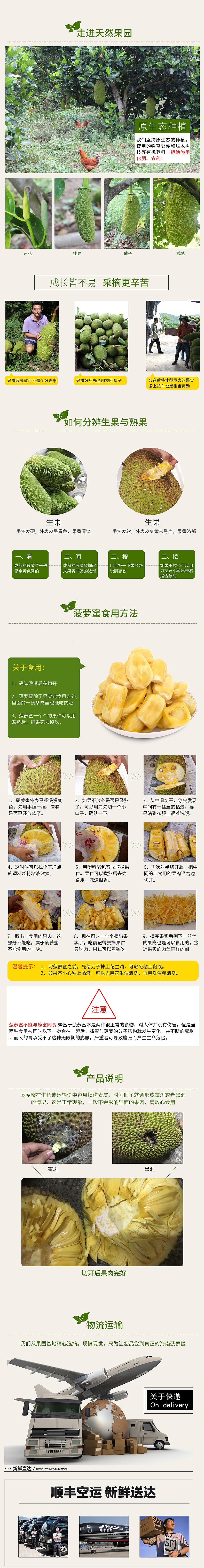 水果详情系列-菠萝蜜（图ZNTk2ODIwODg=） - 电商 - 站酷设计师M_Lione原创素材 - 站酷ZCOOL