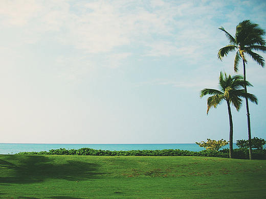 美国十大热门留学城市