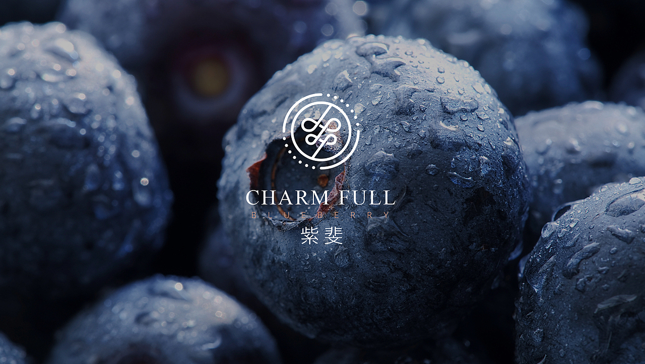 蓝莓酒品牌形象、包装设计（图ZMTA5NTI2OTcy） - 品牌 - 站酷设计师子晨设计原创素材 - 站酷ZCOOL