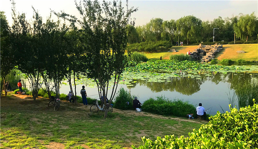 刘勇良手机纪实摄影：垂钓（图ZMTY0MTg1Mjc2） - 人文/纪实摄影 - 站酷设计师刘勇良意创书设原创素材 - 站酷ZCOOL