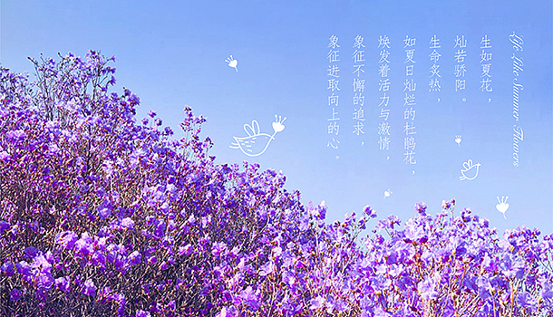 格雅表-礼品设计（图ZMzcwMTQ3NzY=） - 包装 - 站酷设计师华思原创素材 - 站酷ZCOOL